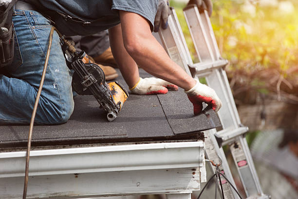 Best Roof Maintenance Services  in Des Allemands, LA