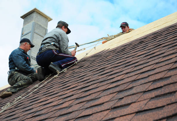 Best Storm Damage Roof Repair  in Des Allemands, LA
